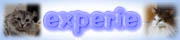 ./banner/id405.jpg