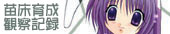 ./banner/id509.jpg