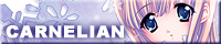 ./banner/id579.jpg